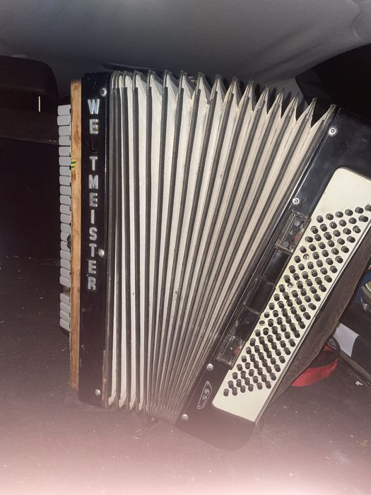 Weltmaister supita S5 estetic distrus, necesita reparatii