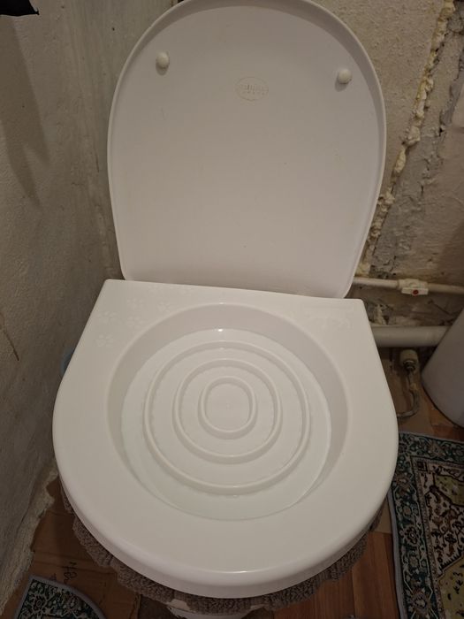 Лоток для кошки приучения к унитазу