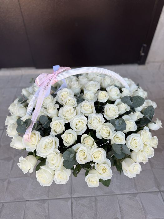Свежая цена договорная