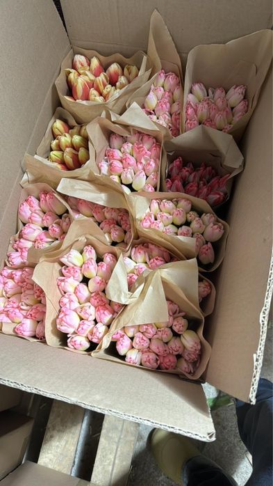 Тюльпаны, букеты тюльпаны, оптом розница