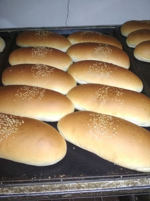 Xoddog gamburger nonlari..