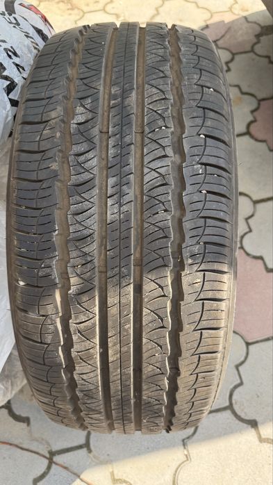 Ризина трианжел лето