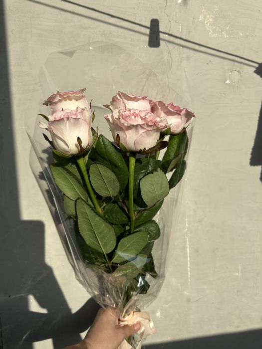 Розы букет на подарок