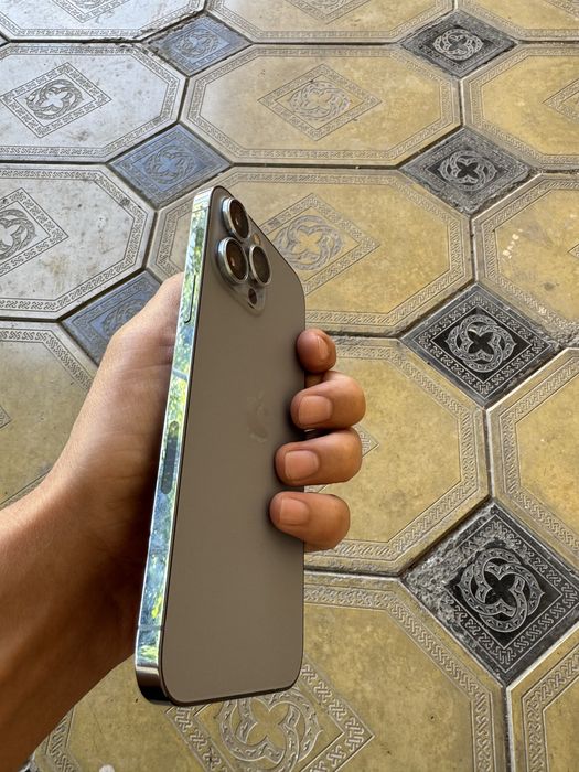 iPhone 13 Pro Max 256