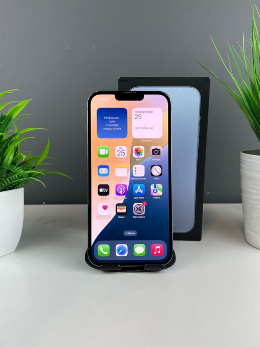 iPhone 13 ProMax 512 gb