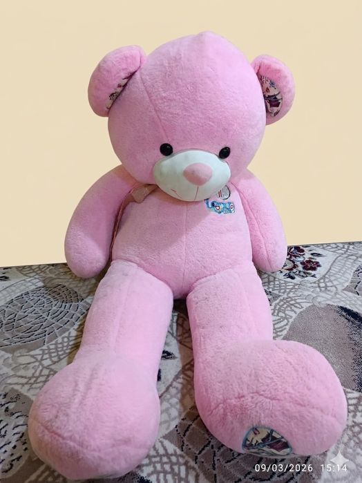 Pushti ayiq va teddy