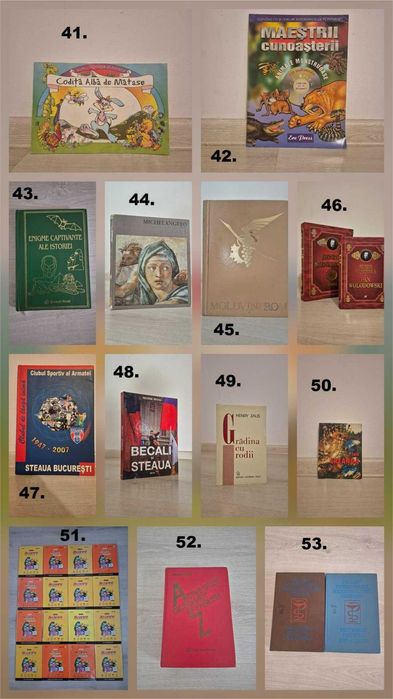 Lot cărți diverse–literatură, enciclopedii, colecții–69 titluri/seturi