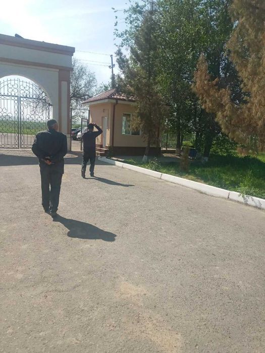 Продаю бизнес действующую молферму в Ташкентской области