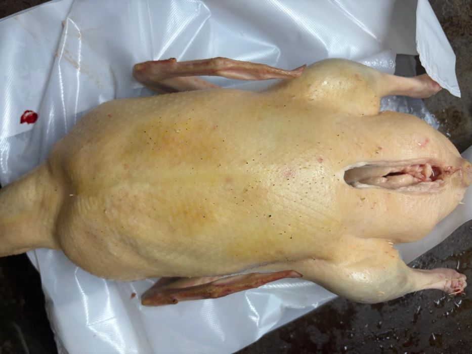 Продам мясо домашних кур уток гусей