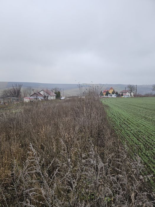 Teren intravilan Popricani, Iași.