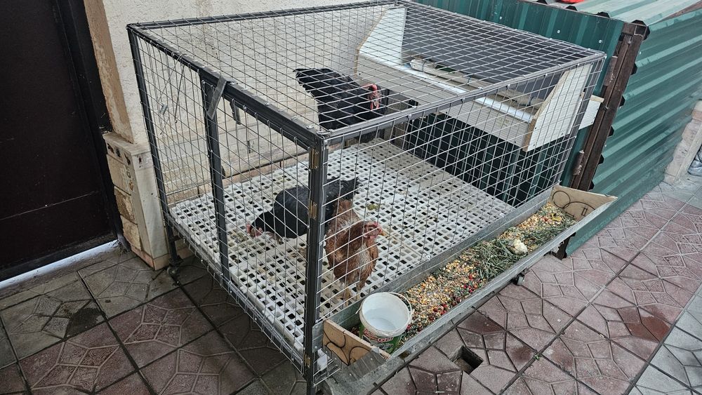 Tovuq qafas gildirakli. Buyurtmaga ham yasab beramiz