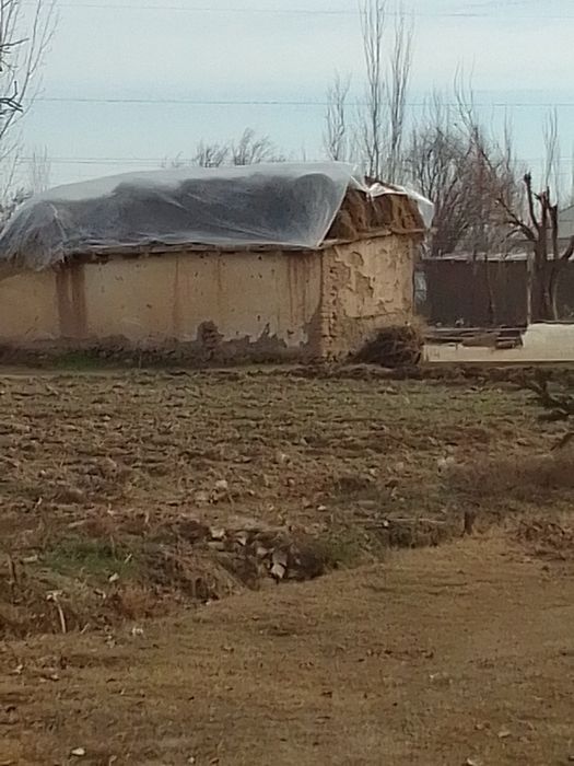 Yemish sotiladi  ! Kelishamizz