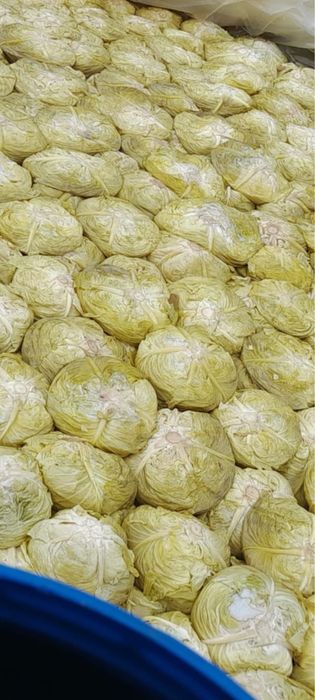 Vând Varză Murată