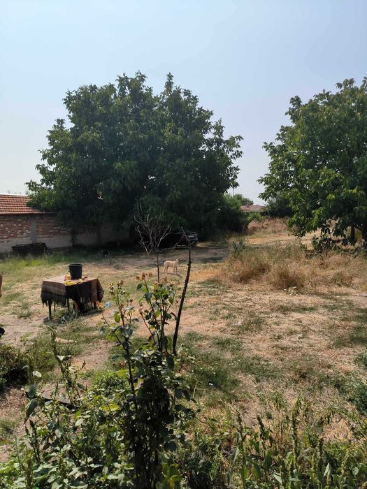 Продава се Къща в с. Дълбок извор, Област Пловдив - 82 кв.м за 683 €/кв.м - Снимка #1