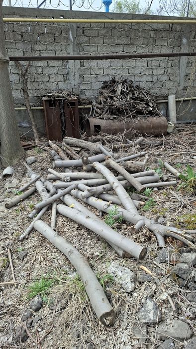 Отинла–дарахтла, дрова