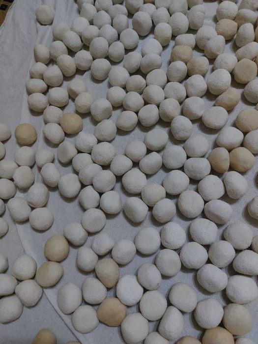 Домашнний курт ..