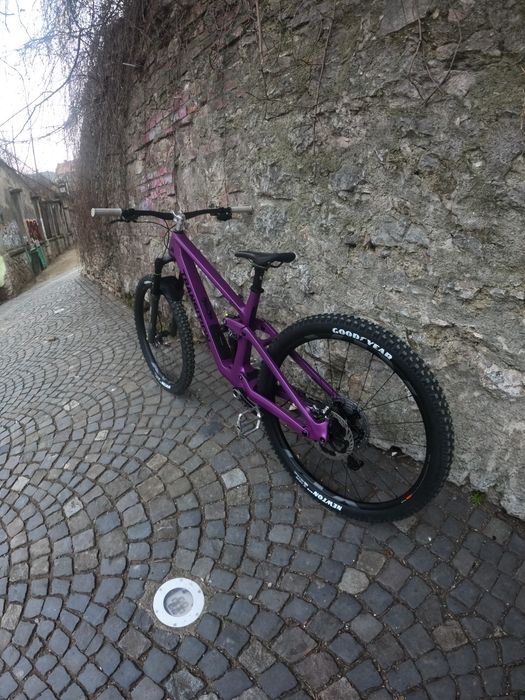 Transition Sentinel Carbon Deep Purple 2025 L
