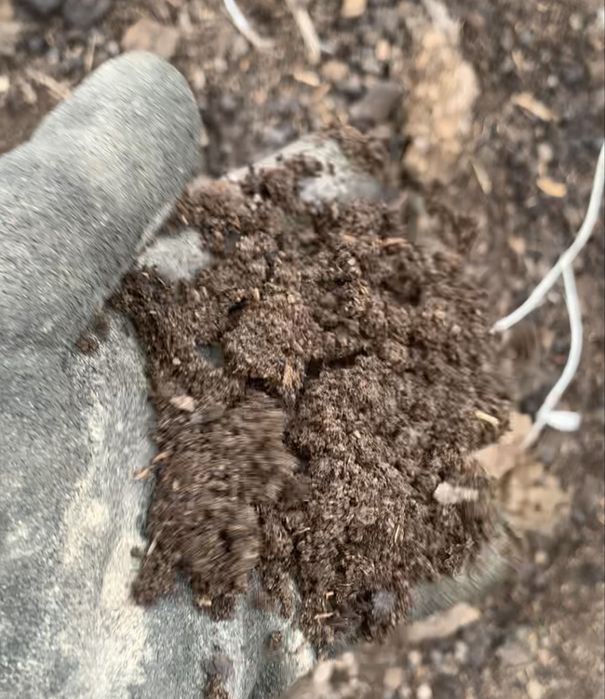 Продается чернозем…