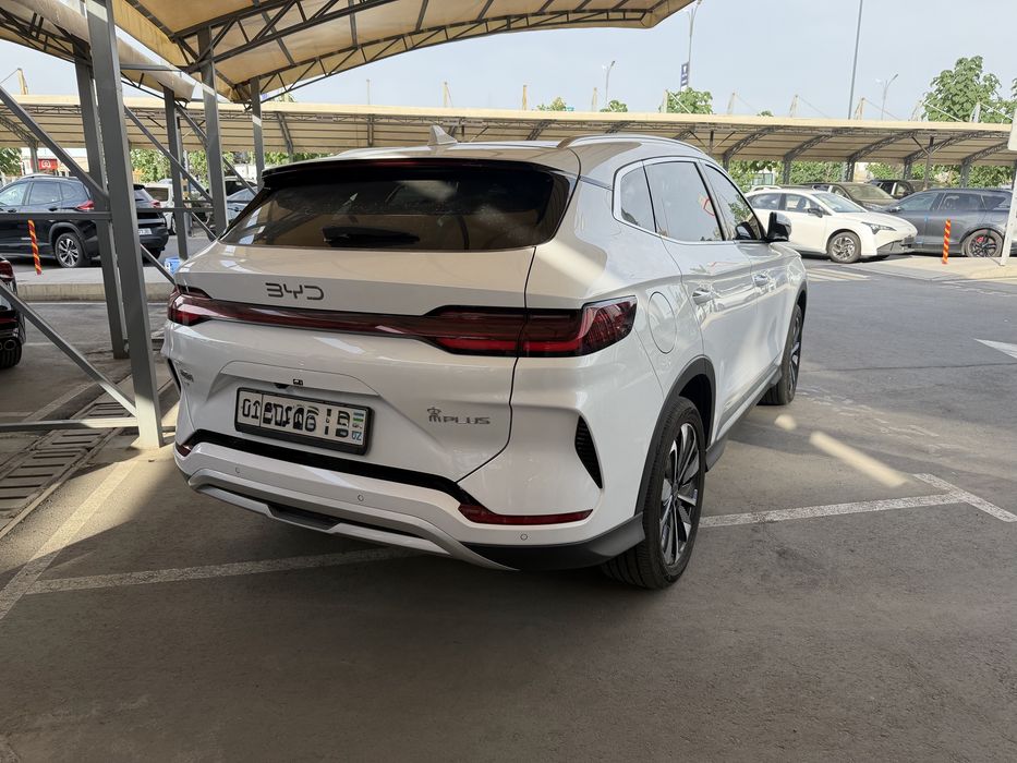 Byd chempion Restayling 2024