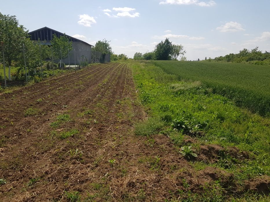 Vând teren Moara Vlasiei