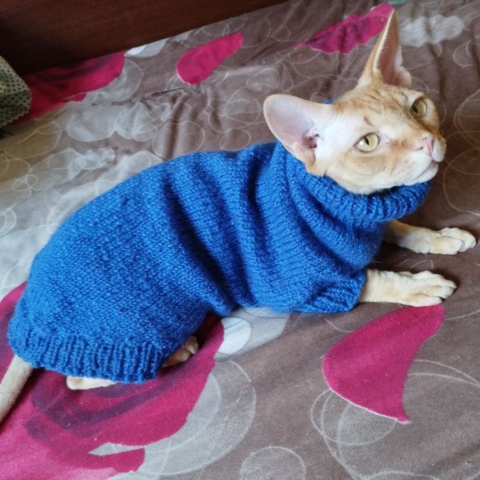 Одежда для сфинкса.