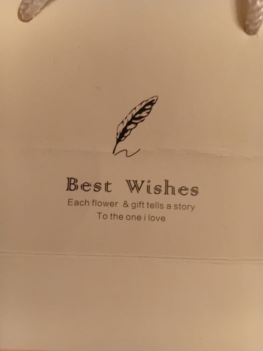 Серебряная цепочка Китай