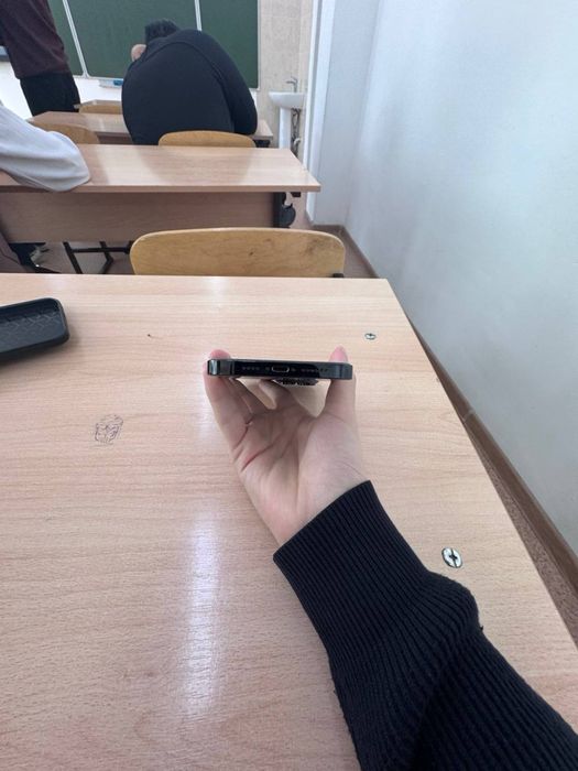 iPhone 14 Pro Max 256gb акб:81%