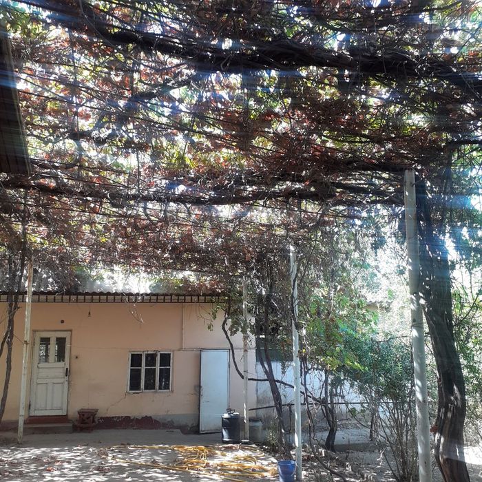 Keng katta barcha qulayliklarga ega honadon sotiladi