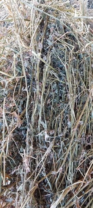 De vânzare baloți de fân, lucernă ! Se asigura transport!