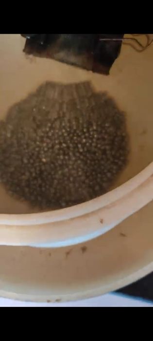 Продам дроболейку