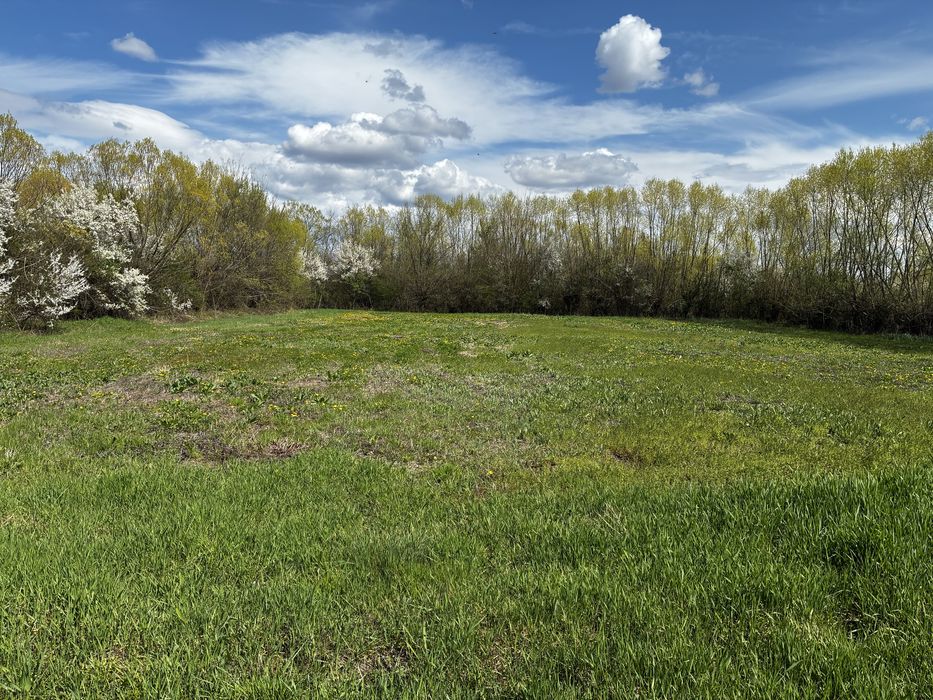 Teren intravilan 2.000 mp la 30 km de Bucuresti – Movila, Niculești