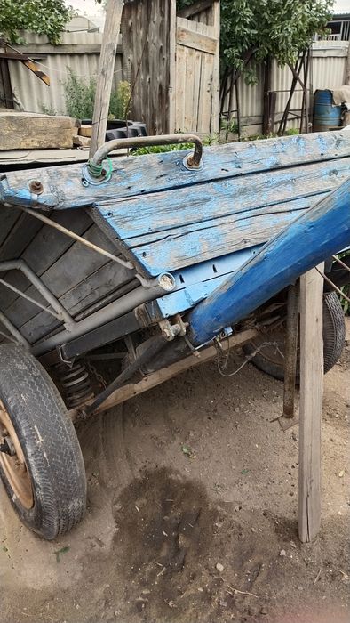 Ишачиха 8 лет сильная