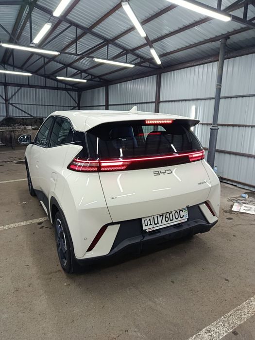 BYD Seagull 2024-25 srochno