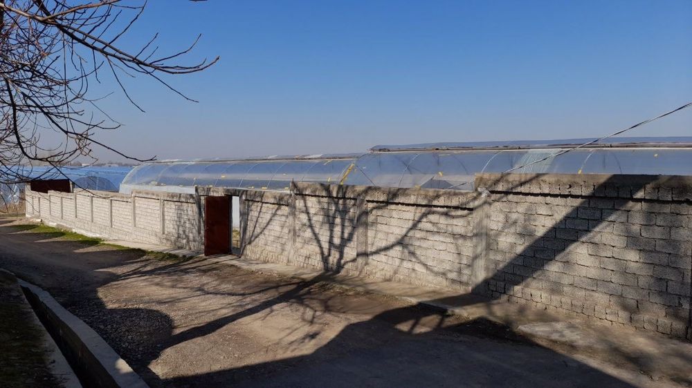 Срочно Теплица Назарбекда  сотилади вариантлар бор .