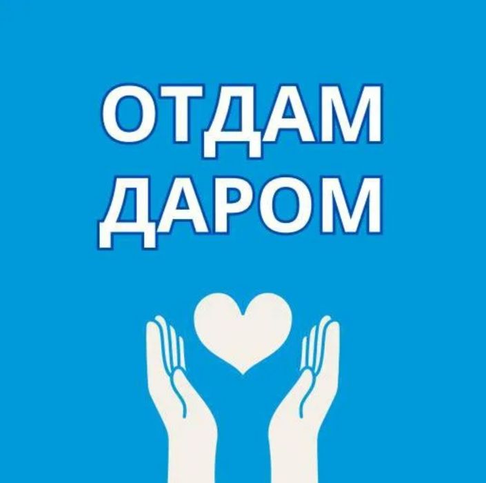 Вещи на 7-8 лет для мальчика