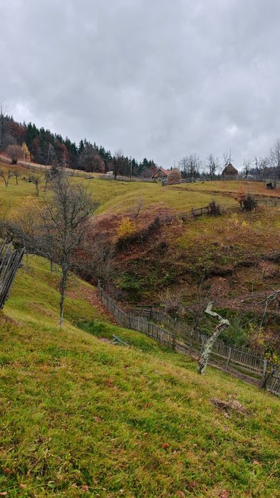 Vând casă locuibilă cu teren aferent  în Satul Alun(Comuna Boșorod)