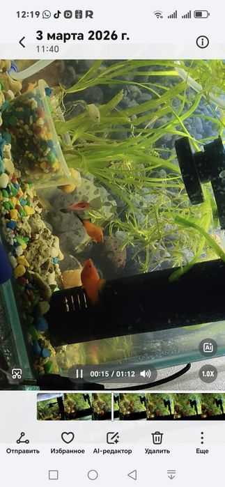 Продам аквариум в комплекте