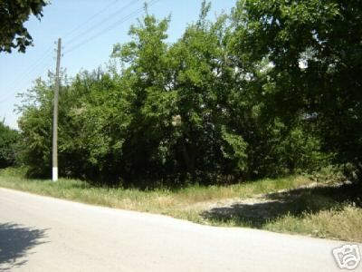 Продава се Парцел в с. Сноп, Област Добрич - 3125 кв.м за 2 €/кв.м - Снимка #3