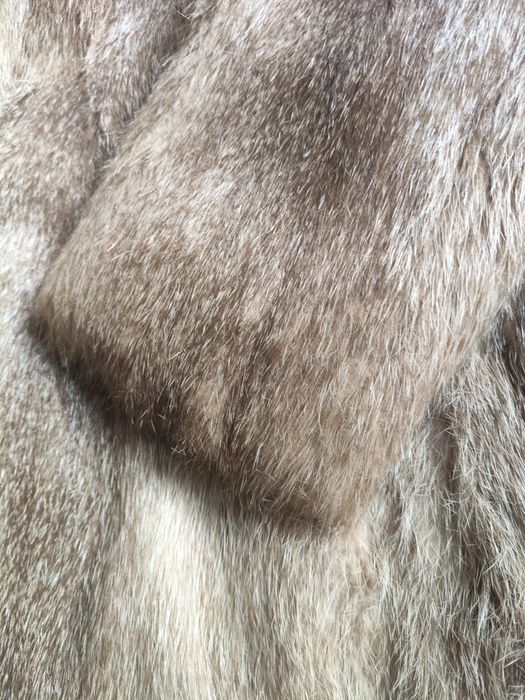 Blăniță naturală