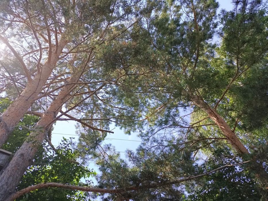 Дача с/о Эврика-Гудок