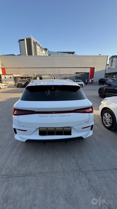 BVD Y2 EV 2024.