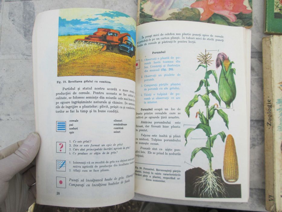 Manuale scolare vechi :mate, citire,  zoologie, etc din "78, "79