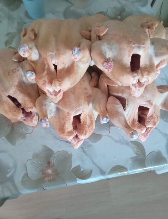 Продаю тушки домашние бролеров