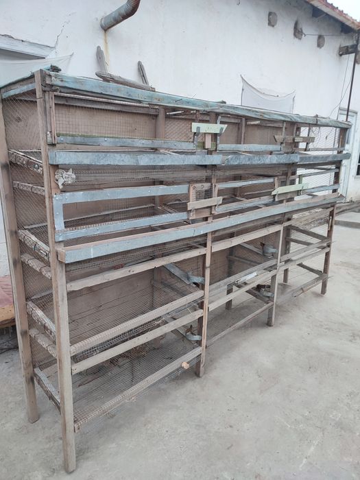 Бедона бокадиган катак сотилади