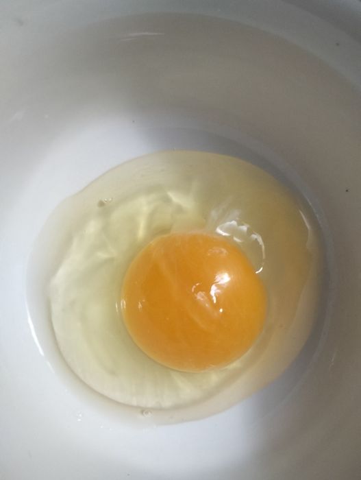 Продам домашнее Яйцо