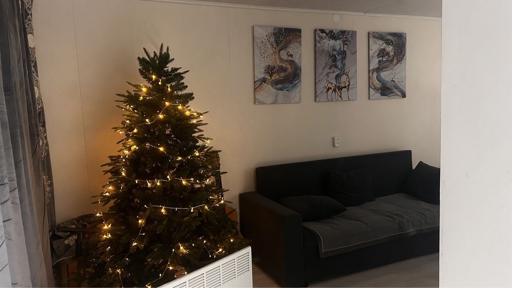 Дом отдыха в лесу