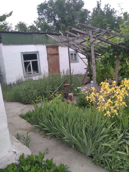 Продам дом в центре в районе бывшего базара Даубай