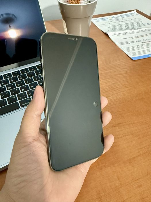 iPhone 12 Pro Max 256 GB (обмен)