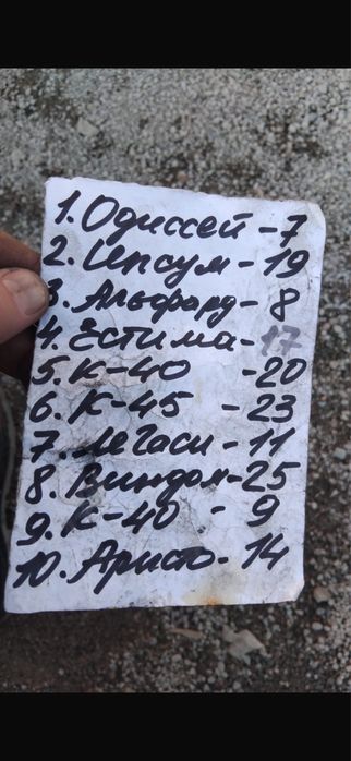 Носкат мини морда бампер телевизор