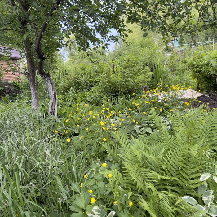 Дача Со горизонт